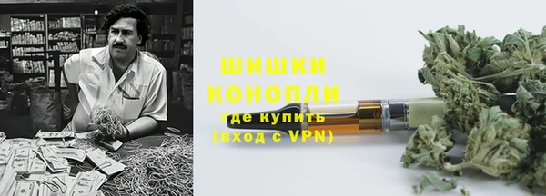 ПСИЛОЦИБИНОВЫЕ ГРИБЫ Алексеевка