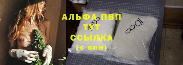 крисы Алзамай