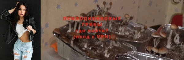 бутират Алексин
