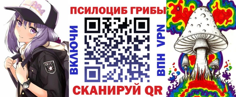 Псилоцибиновые грибы мицелий  Купить  Будённовск 